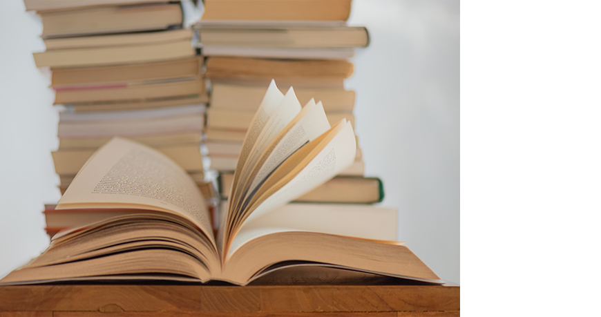 Evaluating English Learner Progress Models and the Quality of English Language Programs