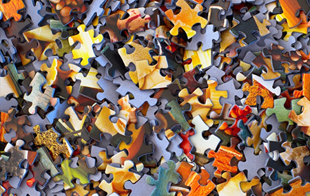 Puzzle Pieces