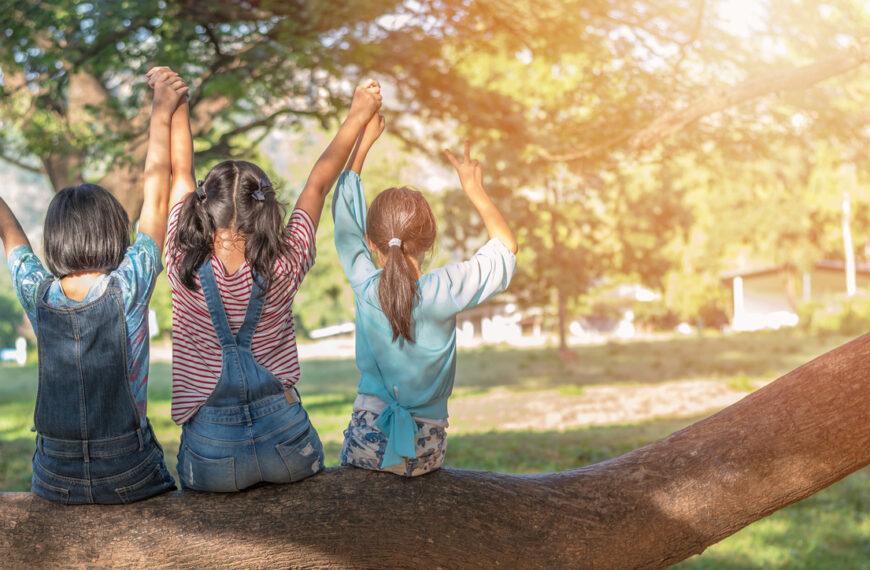 Enhancing School-Based Health Services (NASBE)